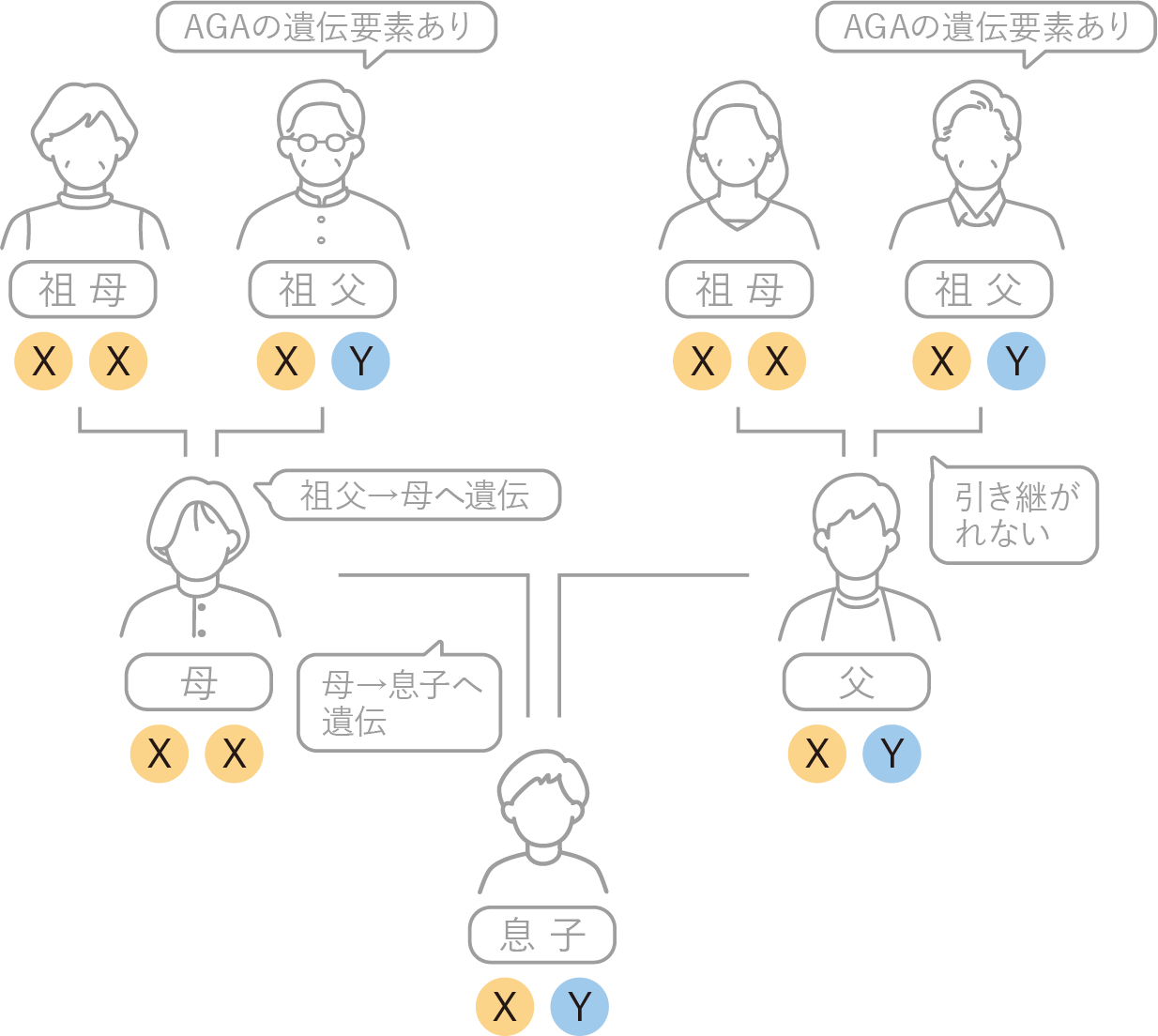 AGAの主な原因は「遺伝」