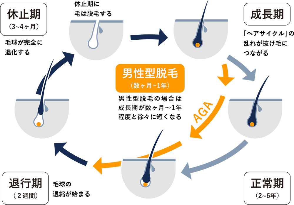 ヘアサイクル