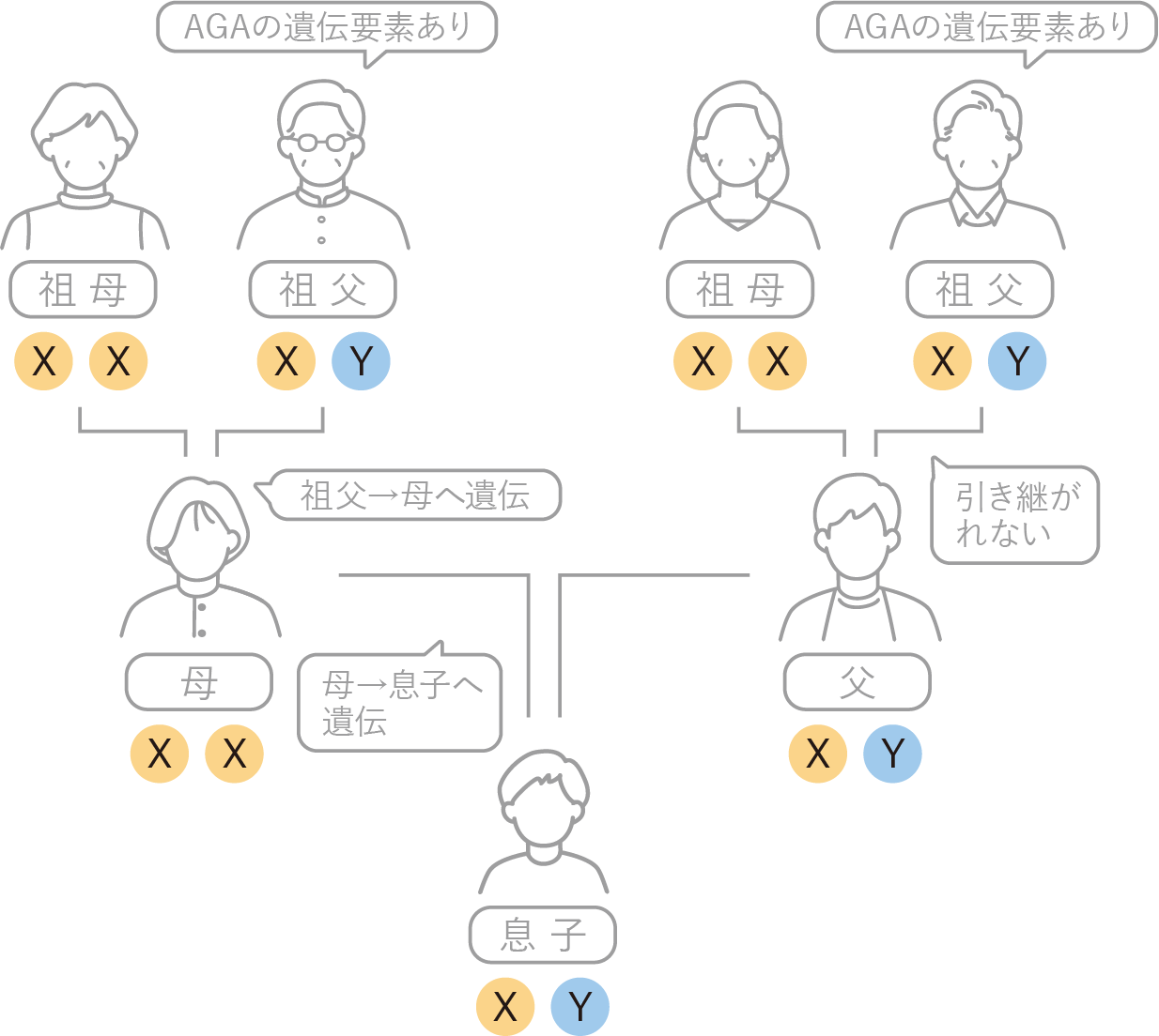 AGAの仕組み