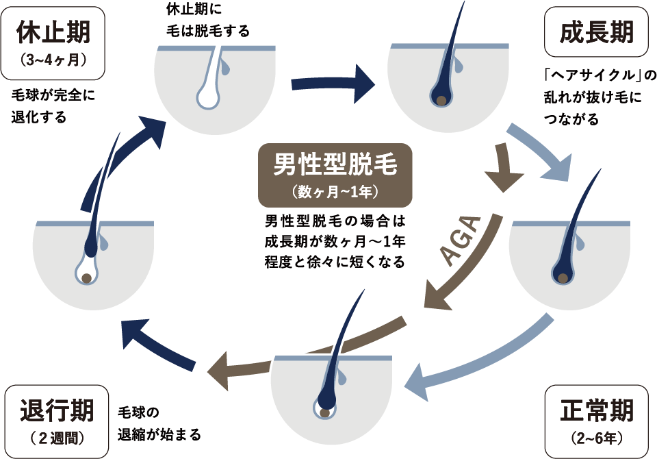 ヘアサイクル