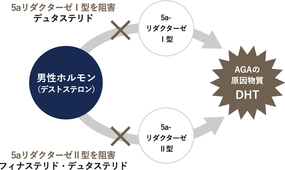 薬剤治療で用いられる内服薬は、薄毛の原因となる「5αリダクターゼ」の働きを抑制する