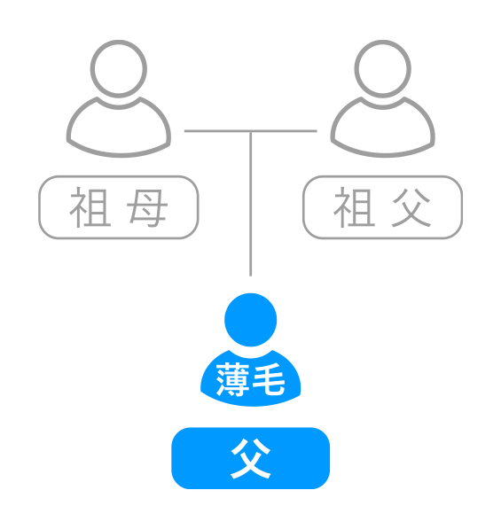さかのぼった血縁者に薄毛の方がいるか確認