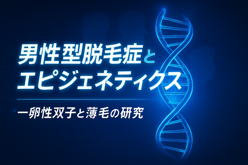 男性型脱毛症とエピジェネティクス 一卵性双子と薄毛の研究