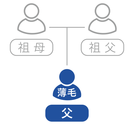 さかのぼった血縁者に薄毛の方がいるか確認