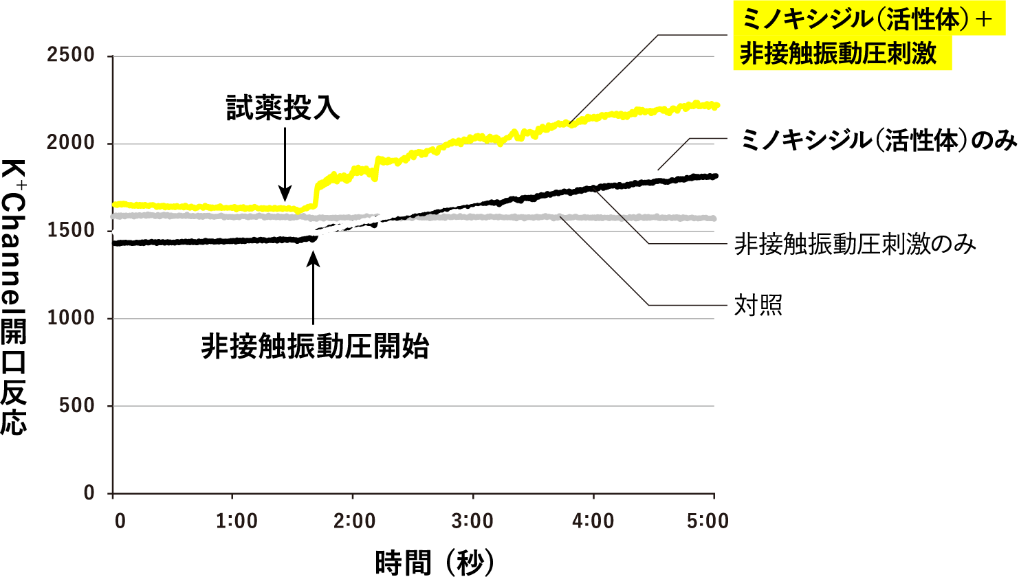 イメージング画像の結果