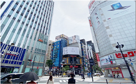 地上ルート