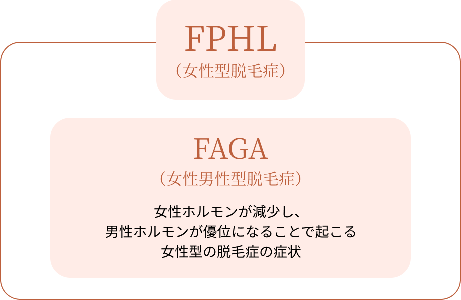 FPHLとFAGAの説明の図