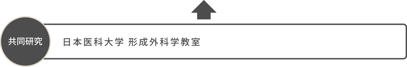 共同研究:日本医科大学形成外科学教室/ 聖マリアンナ医科大学形成外科学教室